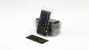 GGLP-BMT Laser Plants - Black Magic Taro