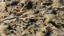 GGTT-BL Tiny Black 1mm