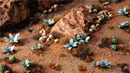 GGLP-BA Laser Plants - Blue Agave