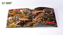 GGSB-EFBB Enchanted Forest Basing Box