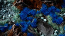 GGA-BL Alien Blue
