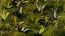 GGLP-BT Laser Plants - Banana Tree