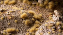 GG6-BEs Beige 6mm - Small