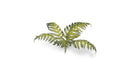 GGLP-GB Laser Plants - Bracken