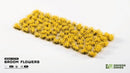 GGFS-BRO Broom Flowers