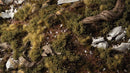 GGFS-DAG Dark Green Shrubs