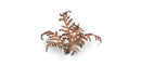GGLP-DB Laser Plants - Dry Bracken