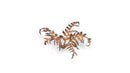 GGLP-DB Laser Plants - Dry Bracken