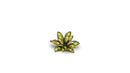 GGLP-DC Laser Plants - Dumb Cane