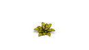 GGLP-DC Laser Plants - Dumb Cane