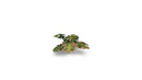 GGLP-MT Laser Plants - Monstera