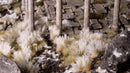 GGK-W Spikey Winter