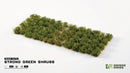 GGFS-SG Strong Green Shrubs