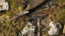 GGFS-SWA Swamp Shrubs
