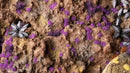 GGTT-PU Tiny Alien Purple