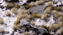 GG5-Ws Winter 5mm - Small