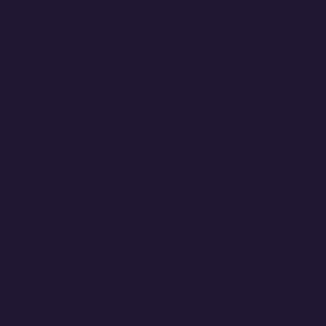 033 72.116 PURPURA MEDIANOCHE