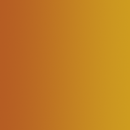 72.404 AMARILLO NUCLEAR (3 UNIDADES)